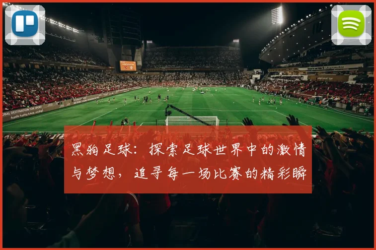 黑狗足球：探索足球世界中的激情与梦想，追寻每一场比赛的精彩瞬间