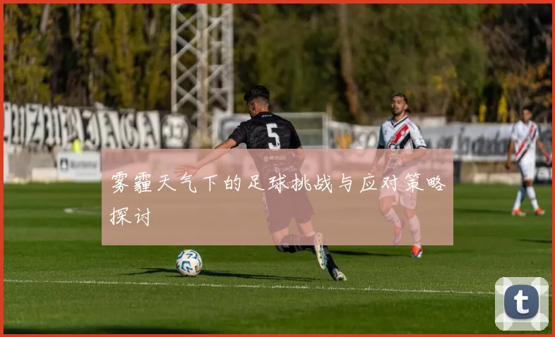 雾霾天气下的足球挑战与应对策略探讨