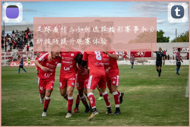 足球看什么如何选择精彩赛事和分析技巧提升观赛体验