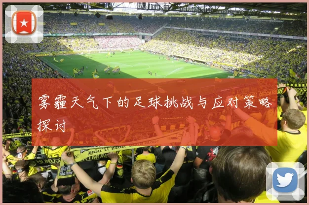 雾霾天气下的足球挑战与应对策略探讨