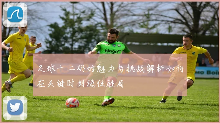 足球十二码的魅力与挑战解析如何在关键时刻稳住胜局