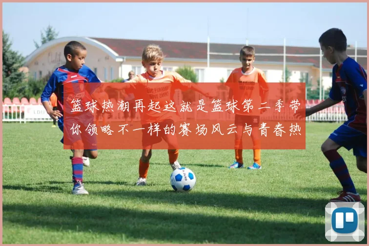 篮球热潮再起这就是篮球第二季带你领略不一样的赛场风云与青春热血