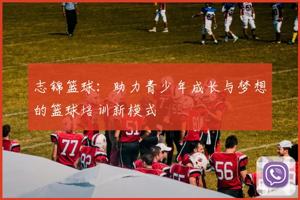 志锦篮球：助力青少年成长与梦想的篮球培训新模式