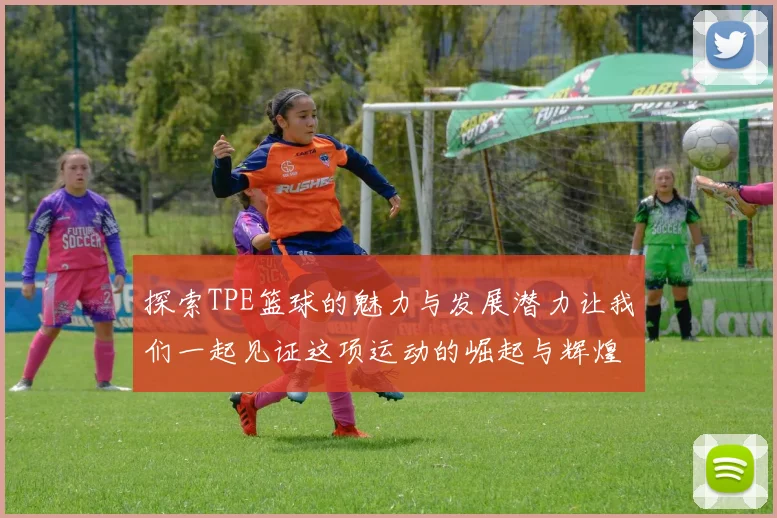 探索TPE篮球的魅力与发展潜力让我们一起见证这项运动的崛起与辉煌